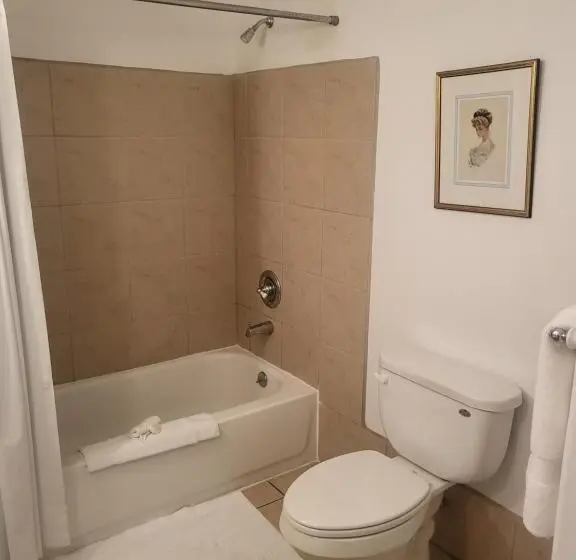 身障者適用キングサイズベッドルーム, The Eagle S Nest Inn