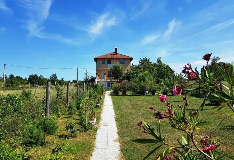 1 Sovrums Lägenhet, Kincsesbánya