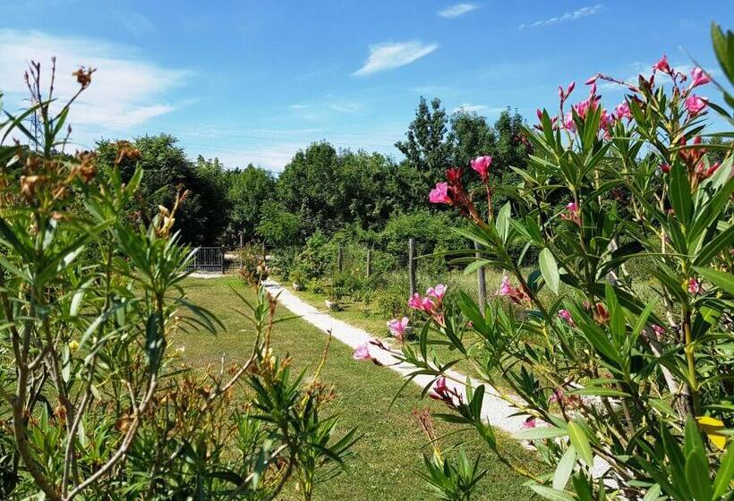 1 Sovrums Lägenhet, Kincsesbánya