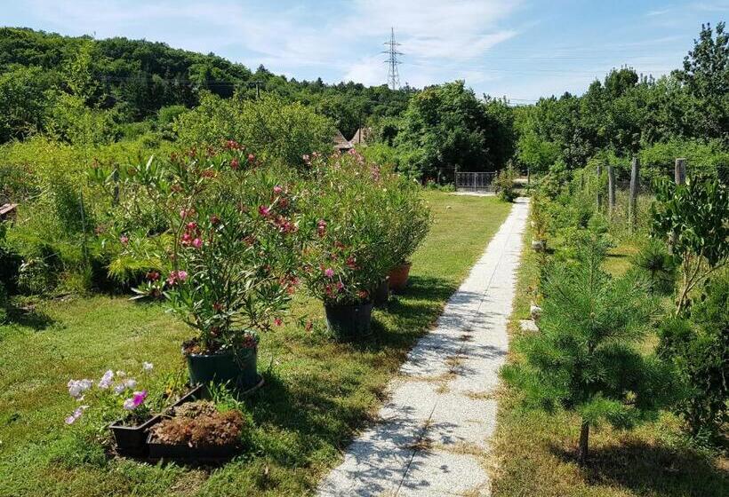 1 Sovrums Lägenhet, Kincsesbánya