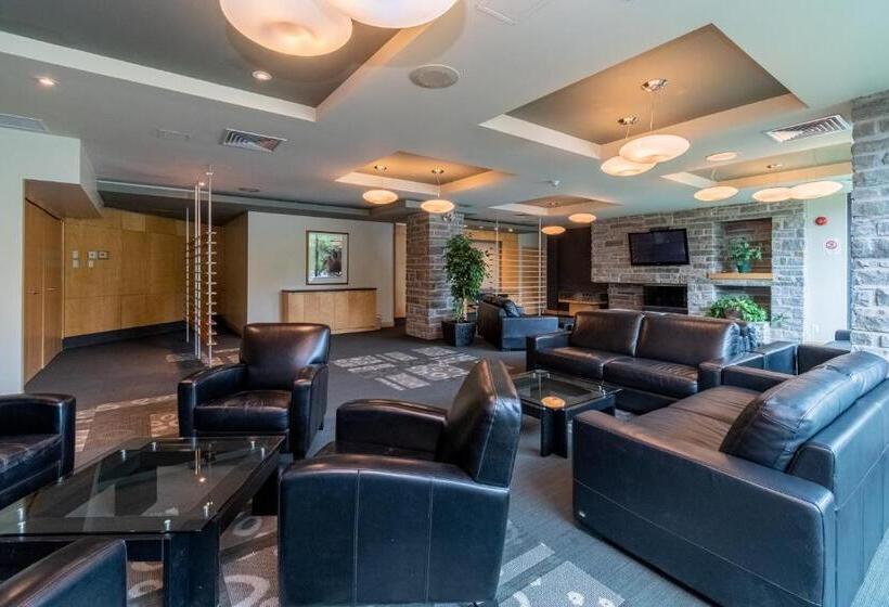 带3个卧室的公寓, Condo Avec Parc Aquatique !