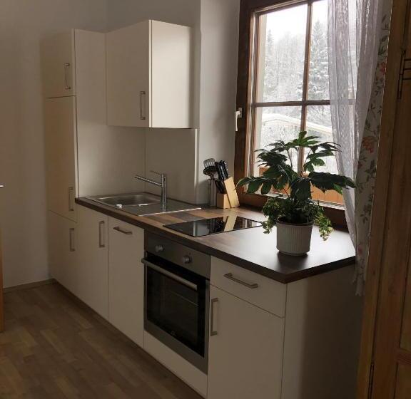 Апартаменты 1 Спальня, Egerbach Appartements