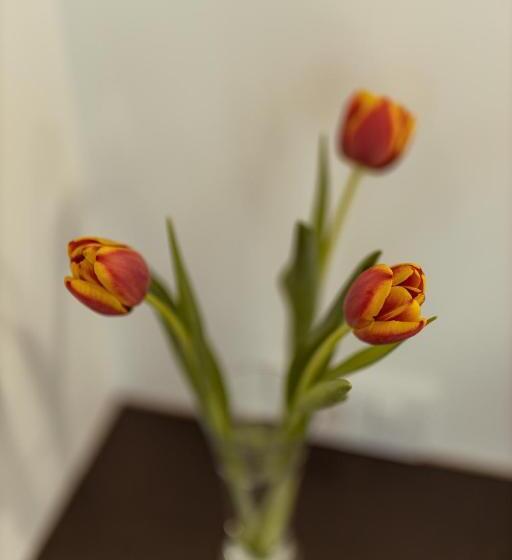 Standard Triple Room with Terrace, Konak Vuk