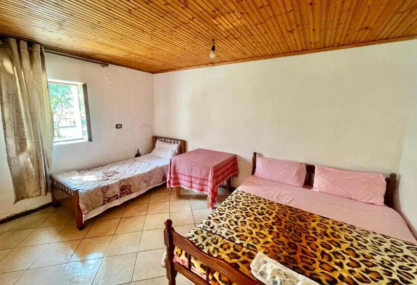 Standard-huone Puutarhanäkymä, Guesthouse Lokthi