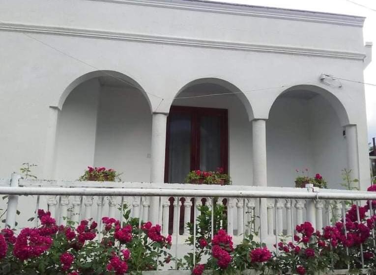 اتاق استاندارد, House In The Nature