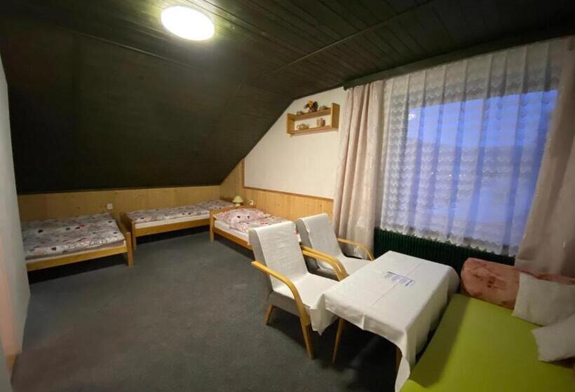 חדר סטנדרט לארבעה, Pension Krupka 443   Ski Herlikovice A Bubákov