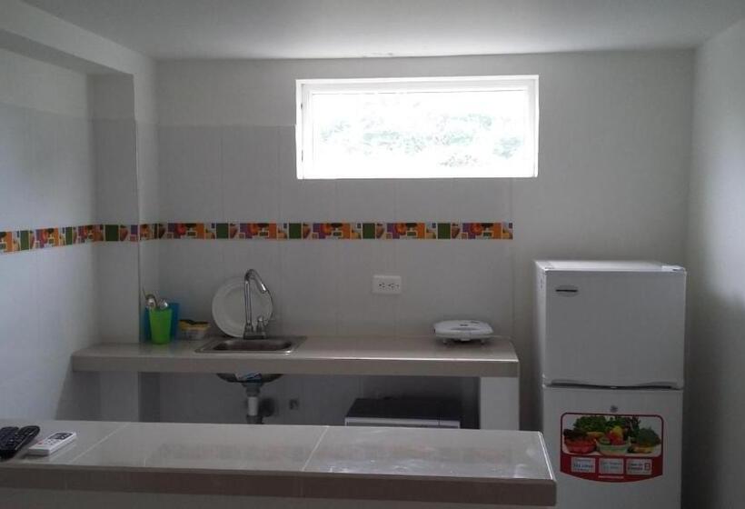 חדר סטנדרט לארבעה, Bull Shark