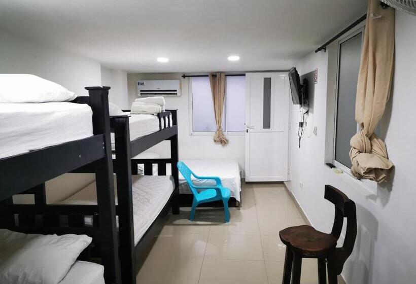 חדר משפחתי, Bull Shark