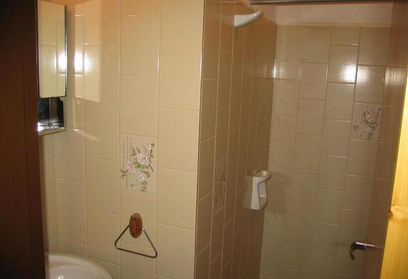 غرفة قياسية فردية, Hostería Los Sauces