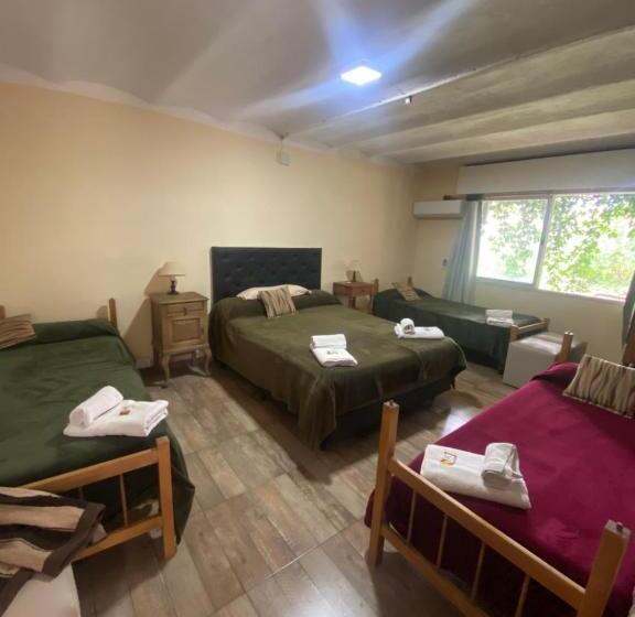 スタンダード４人部屋, B&b La Casa Del Padre Leclef