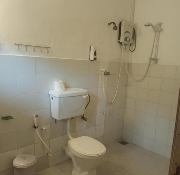 Номер Стандарт, Lovely Flowers In Mount Lavinia