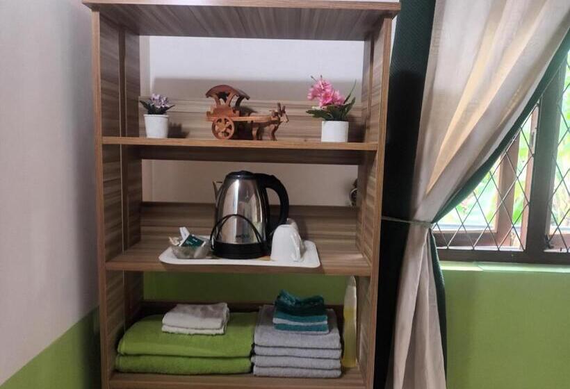 Номер Стандарт, Lovely Flowers In Mount Lavinia