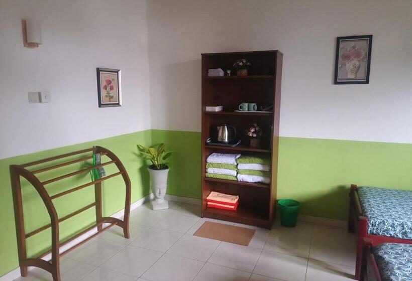 Четырехместный Номер Стандарт, Lovely Flowers In Mount Lavinia