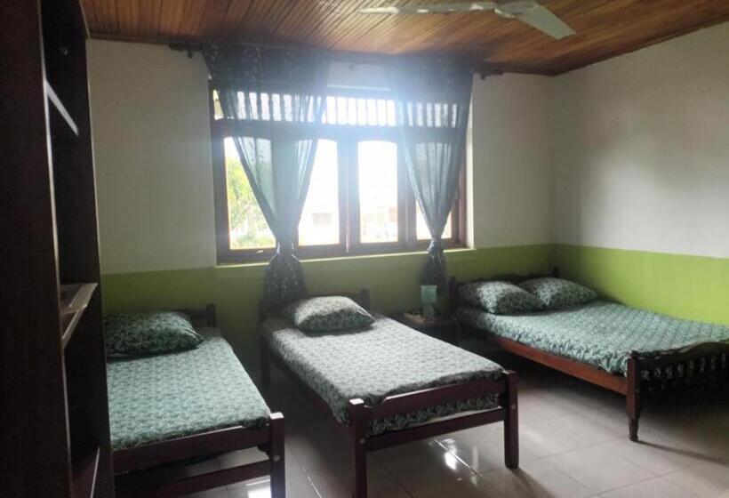 Четырехместный Номер Стандарт, Lovely Flowers In Mount Lavinia