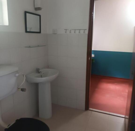 Семейный Номер, Lovely Flowers In Mount Lavinia