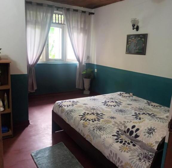 Семейный Номер, Lovely Flowers In Mount Lavinia