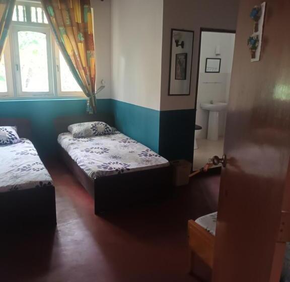 Семейный Номер, Lovely Flowers In Mount Lavinia