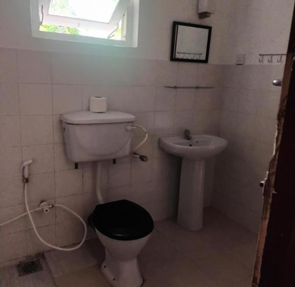 Номер Стандарт, Lovely Flowers In Mount Lavinia