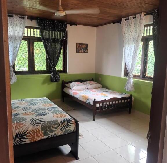 Номер Стандарт Четырехместный Совместный Санузел, Lovely Flowers In Mount Lavinia