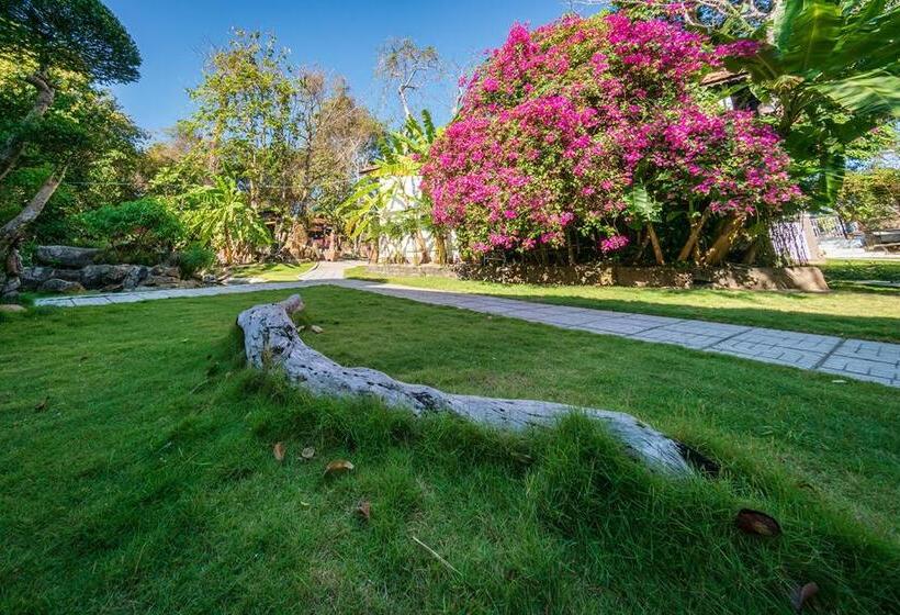 חדר סטנדרט לארבעה, Ven Ven