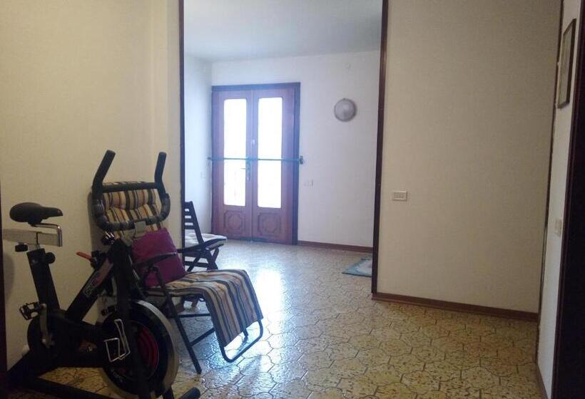 غرفة قياسية فردية, Summer S House