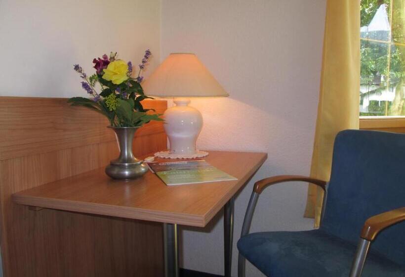 Апартаменты 1 Спальня, Pension Florian Am Park