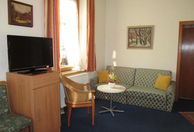 Апартаменты 1 Спальня, Pension Florian Am Park