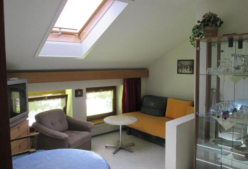 סטודיו סטנדרטי נוף לגינה, Pension Florian Am Park