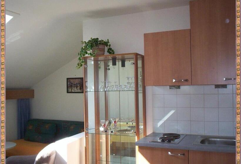 סטודיו סטנדרטי נוף לגינה, Pension Florian Am Park