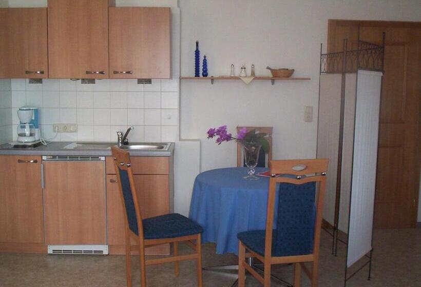 סטודיו סטנדרטי נוף לגינה, Pension Florian Am Park