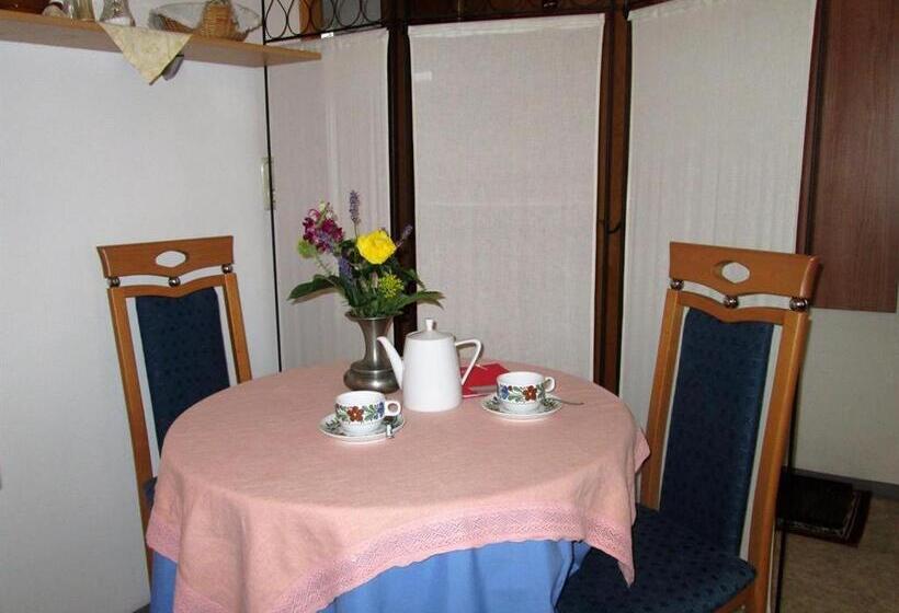 סטודיו סטנדרטי נוף לגינה, Pension Florian Am Park