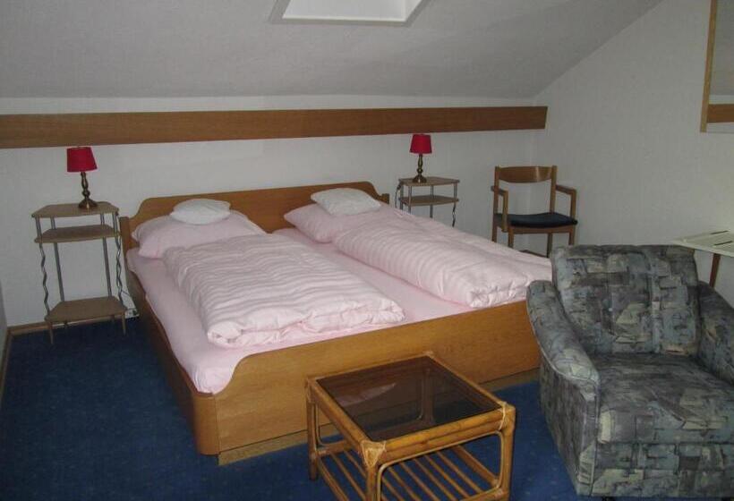 דירת חדר, Pension Florian Am Park