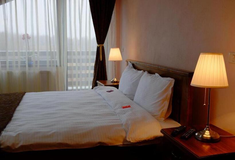 חדר סטנדרט עם מיטת קינג, Pensiunea Stella Drăguș