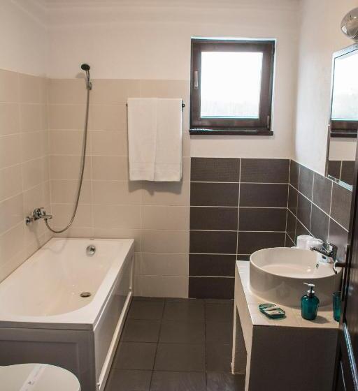 סוויטה נוף להרים, Pensiunea Stella Drăguș