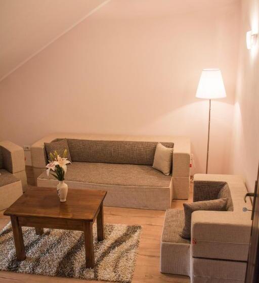 סוויטה נוף להרים, Pensiunea Stella Drăguș