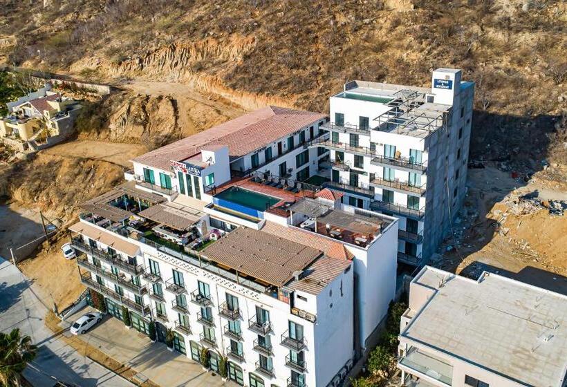 جناح غرفتين نوم, Taylor 203 @ Morgan Residences