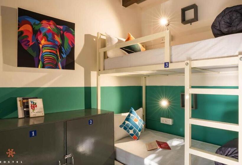 מיטה בחדר משותף, Zostel Jim Corbett