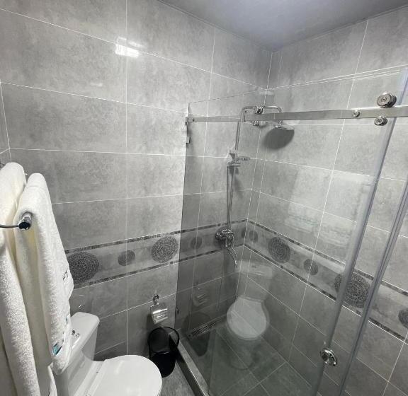 اتاق سوپریور با تخت بزرگ, Loft