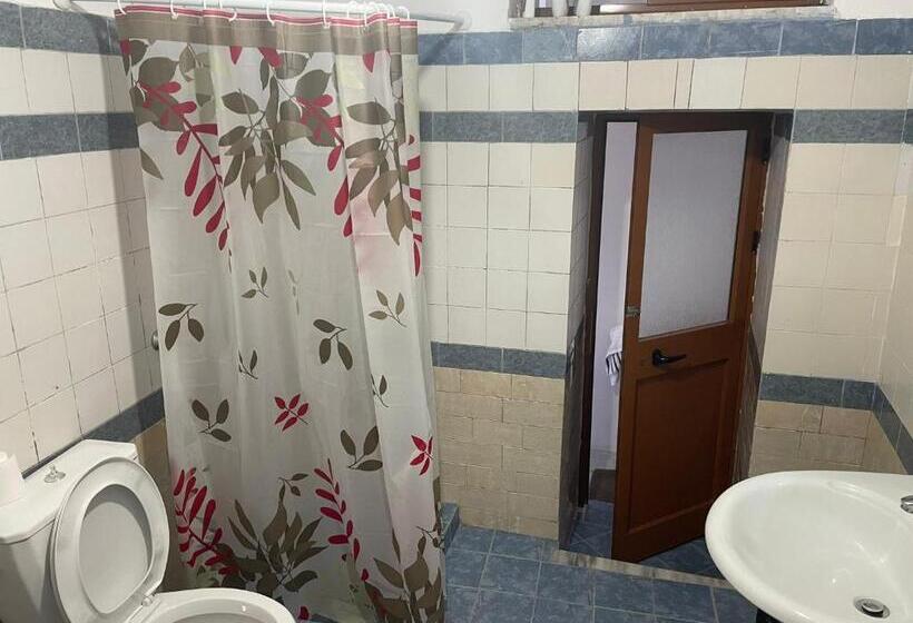 تختخواب در اتاق مشترک, Hostel Xarba