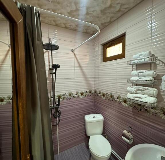 اتاق استاندارد, Colibri