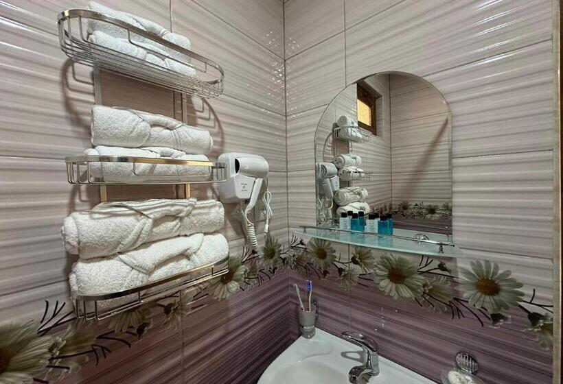 اتاق استاندارد, Colibri