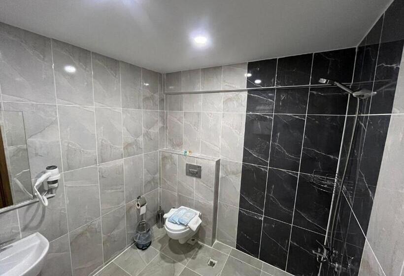 اتاق استاندارد, Si̇s