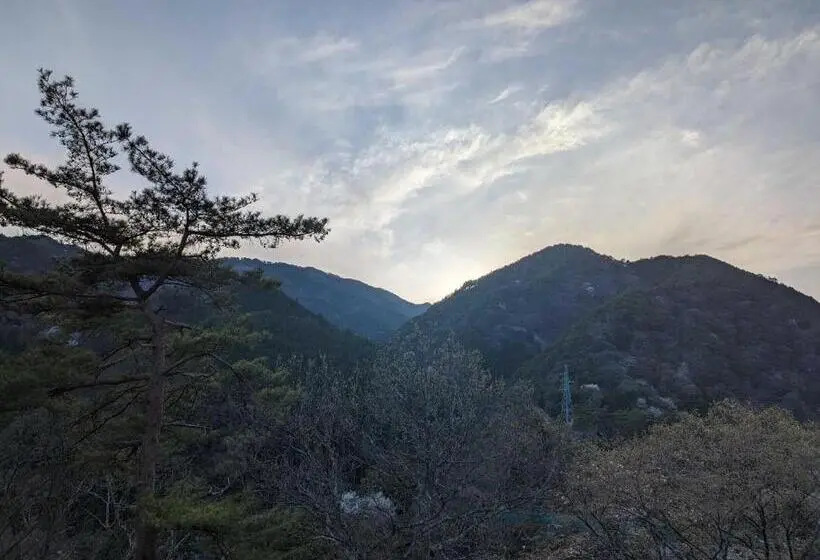 Standard-huone Terassi, ホテル風の山