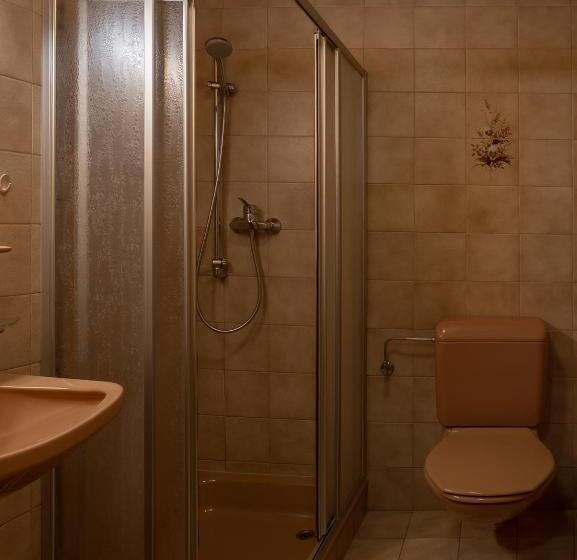 Standard Værelse m. Balkon, Gästehaus Almhof