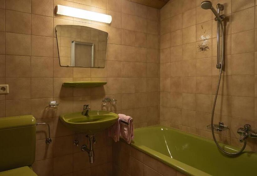 Standard Værelse, Gästehaus Almhof