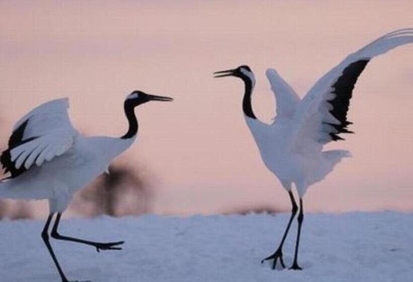 חדר סטודיו סטנדרד, Axia Inn Kushiro   Vacation Stay 67230v