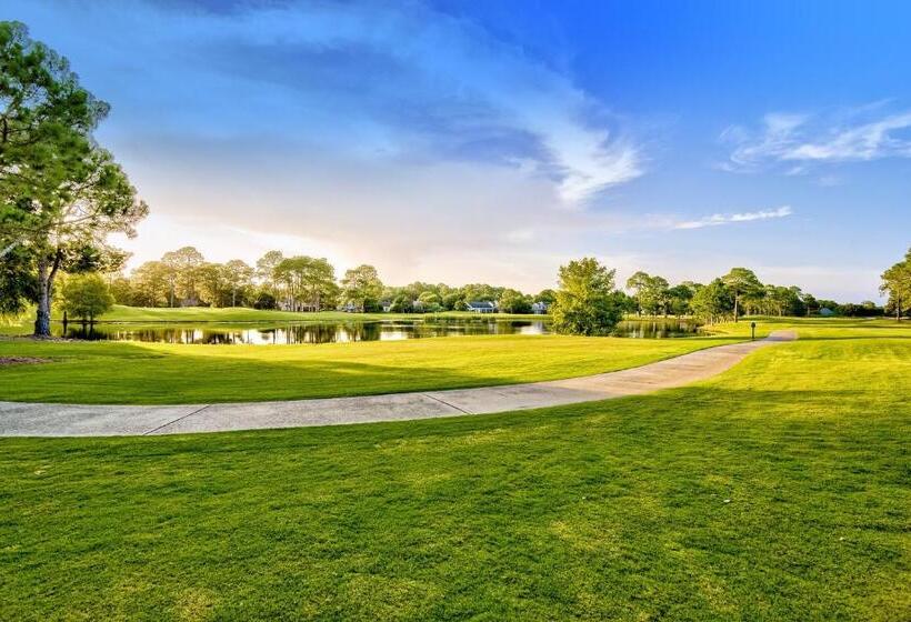 شقة غرفة واحدة, Luau 6832/6834