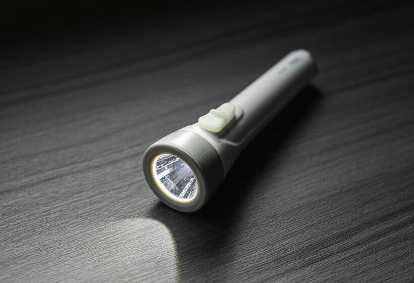 חדר סטנדרט לארבעה, Noir Kagoshima Chuo Station