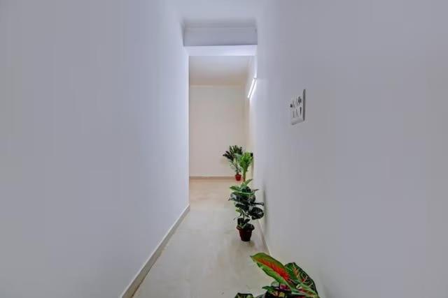 Habitació Estàndard, Park View