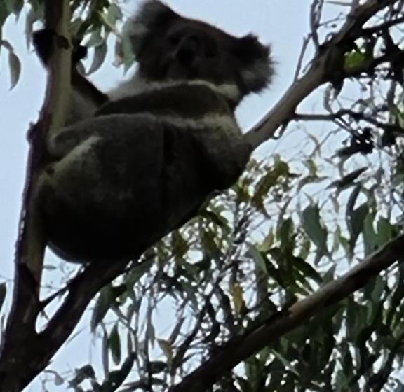 디럭스 룸, Retreat In Stirling